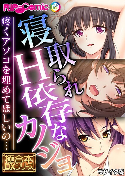 極合本DXシリーズ モザイク版 メイン画像
