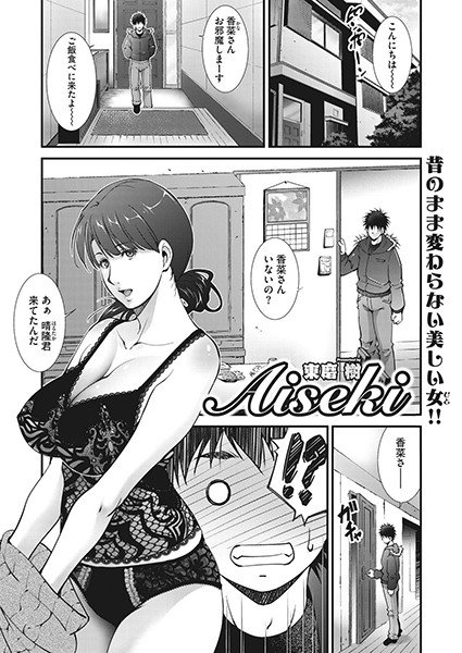 Aiseki (single story)