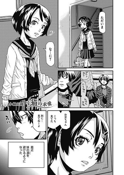 子猫の求愛（単話） メイン画像