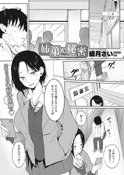 姉弟の秘密(単話) メイン画像