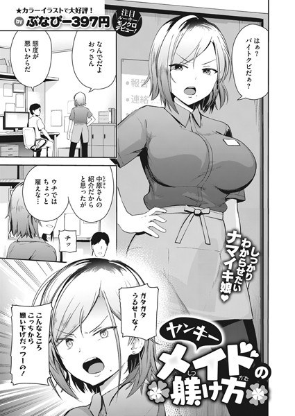 ヤンキーメイドの躾け方（単話） メイン画像