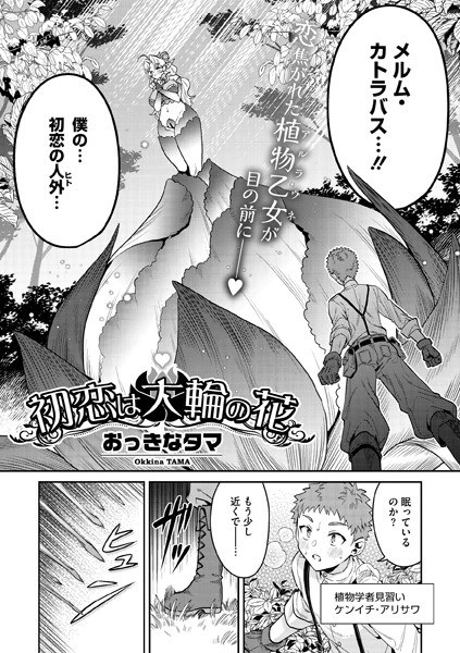 初恋は大輪の花（単話） メイン画像