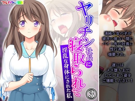 ヤリチン社長に寝取られて淫乱な身体にされた私 3巻 メイン画像