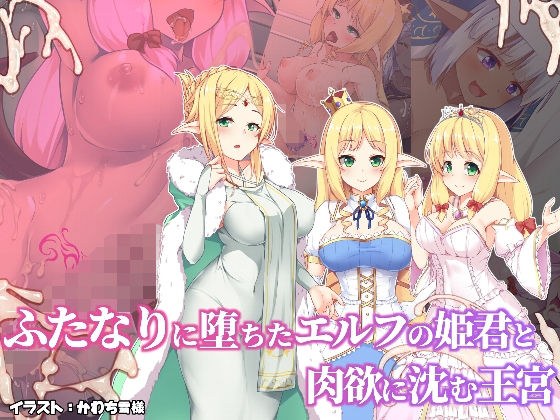 ふたなりに堕ちたエルフの姫君と肉欲に沈む王宮 メイン画像