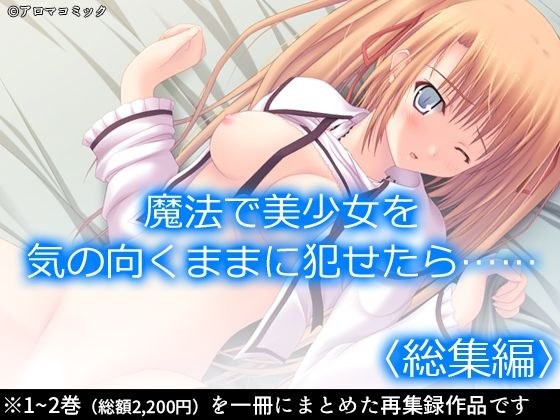 魔法で美少女を気の向くままに犯せたら…… ＜総集編＞ メイン画像