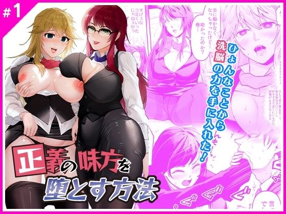 正義の味方を堕とす方法 メイン画像