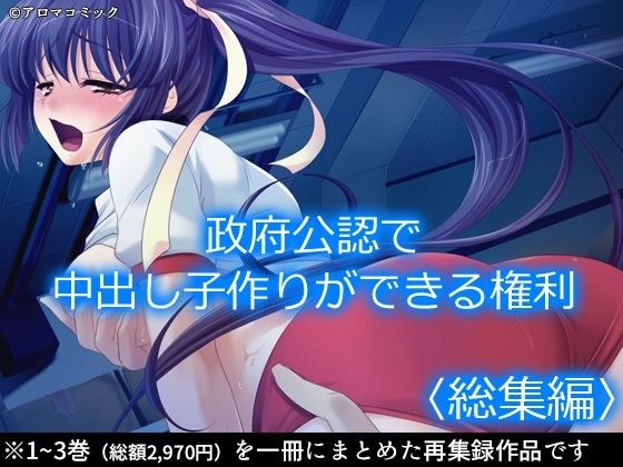 政府公認で中出し子作りができる権利 ＜総集編＞ メイン画像