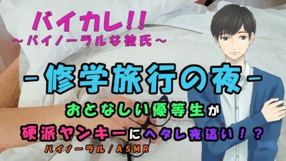 修学旅行〜弱気な優等生が一線を越える夜！ヘタレが硬派ヤンキーを夜●い！？ ASMR/バイノーラル/ボーイズラブ/ホモ/ゲイ/ヘタレ/ヤンキー/催●音声/エロボイス メイン画像
