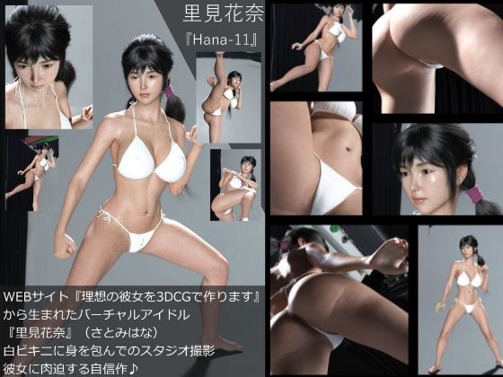 【Dars-100】『理想の彼女を3DCGで作ります』から生まれたバーチャルアイドル「里見花奈（さとみはな）」の水着写真集:Hana-11 メイン画像