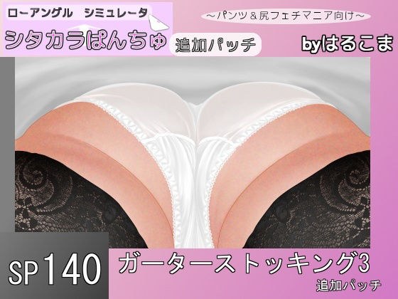 SP140 ガーターストッキング3追加パッチ メイン画像