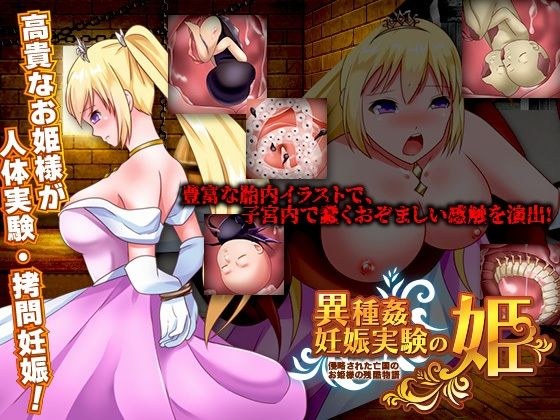 Heterogeneous Pregnancy Experiment Princess-The Cruel Story of an Invaded Exiled Princess- メイン画像
