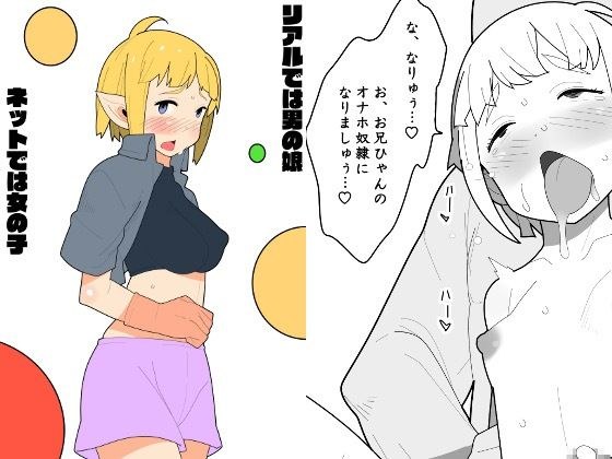 リアルでは男の娘、ネットでは女の子 メイン画像