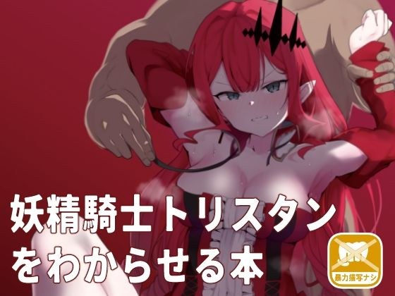 妖精騎士トリスタンをわからせる本 メイン画像