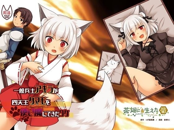 一般兵士アキラが四天王タマモを使い魔にできたワケ メイン画像