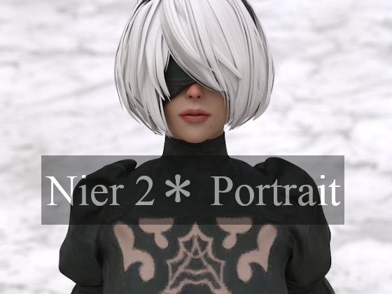 nier 2＊ portrait メイン画像