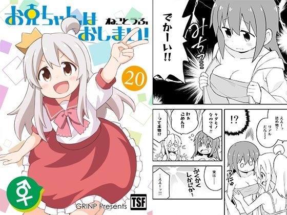 お兄ちゃんはおしまい！20 メイン画像