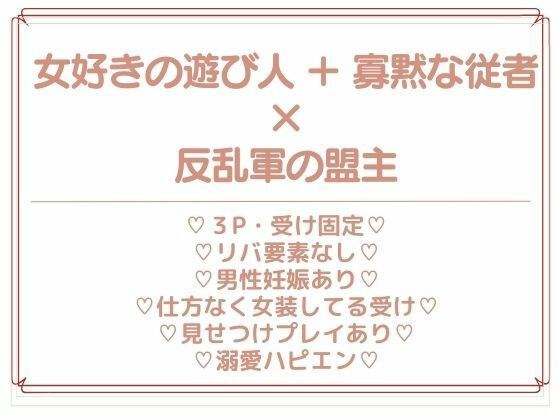 反乱軍の盟主は遊び人になびかない メイン画像