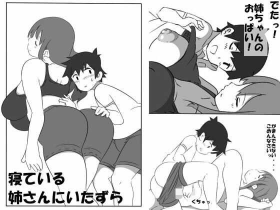寝ている姉さんにいたずら メイン画像