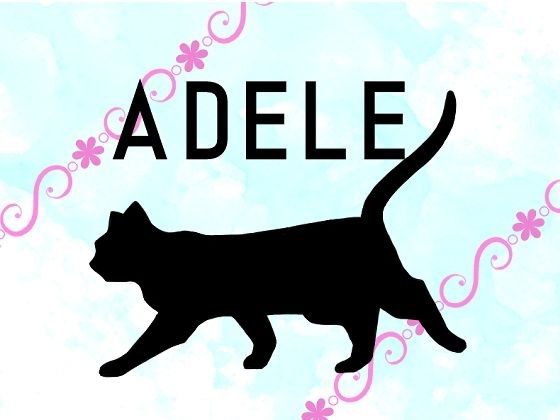 ADELE メイン画像