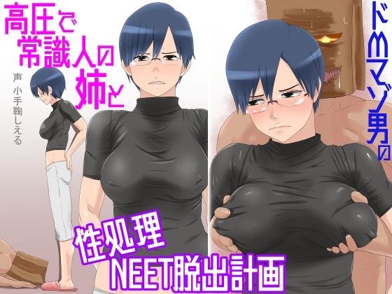 ドMマゾ男の高圧で常識人の姉と性処理NEET脱出計画 メイン画像