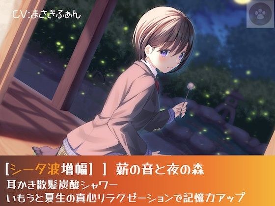［シータ波増幅］薪の音と夜の森-耳かき散髪炭酸シャワー-いもうと光瑠の真心リラクゼーションで記憶力アップ メイン画像