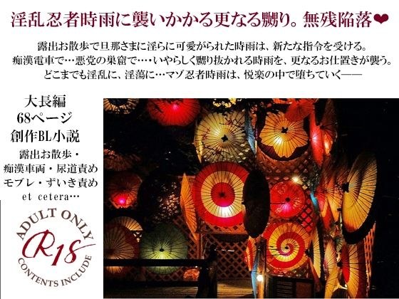 淫乱忍者時雨陥落 第二章〜咲き誇る嬲り花〜 メイン画像