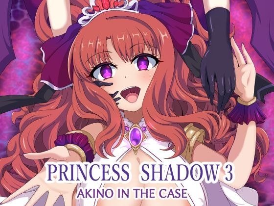 PRINCESS SHADOW3 メイン画像