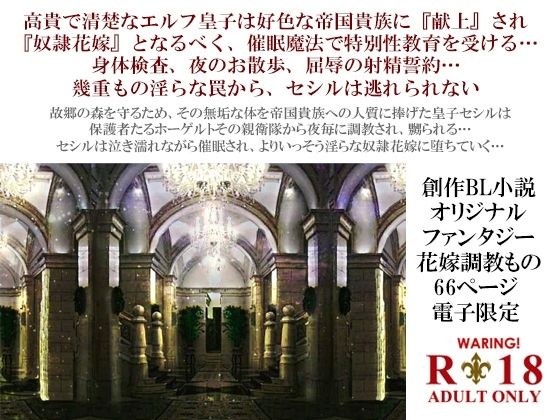 エルフ皇子セシル陥落〜凌●調教の催●奴●花嫁〜 メイン画像