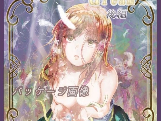 feather dream 後編 メイン画像