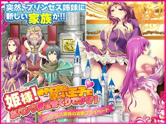 姫様！養子に来た新しい王子におパンツ見せまくりですぞ！ メイン画像