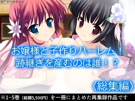 お嬢様と子作りハーレム！跡継ぎを産むのは誰！？ ＜総集編＞ メイン画像