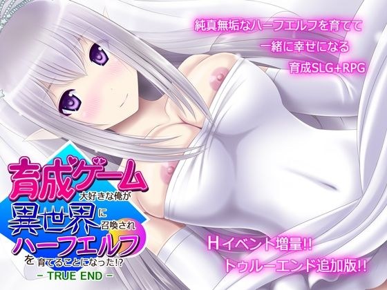 育成ゲーム大好きな俺が異世界に召喚されハーフエルフを育てることになった!? -TRUE END- メイン画像