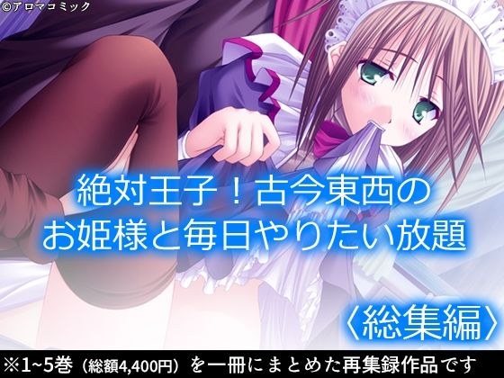 絶対王子！古今東西のお姫様と毎日やりたい放題 ＜総集編＞ メイン画像