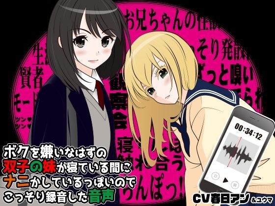 ボクを嫌いなはずの双子の妹が寝ている間にナニかしているっぽいのでこっそり録音した音声 メイン画像