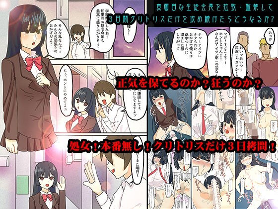 真面目な生徒会長を拉致・監禁して3日間クリトリスだけを攻め続けたらどうなるか？ メイン画像