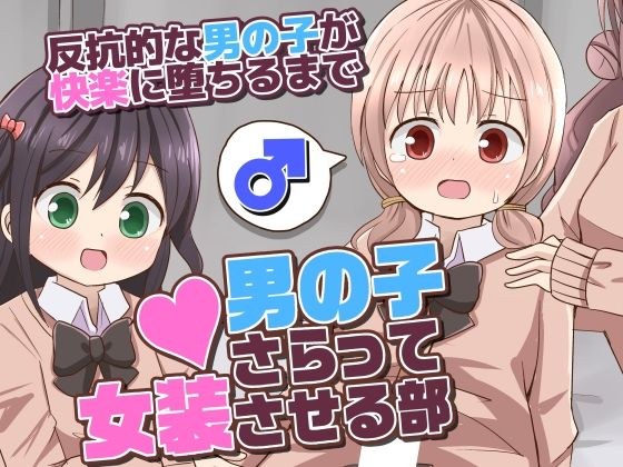 男の子さらって女装させる部 〜反抗的な男の子が快楽に堕ちるまで〜 メイン画像