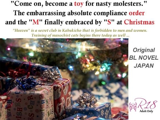 Fetishism Heaven SM Dream Fourth Night -Molester play， enema ritual， Christmas Eve production sex- メイン画像