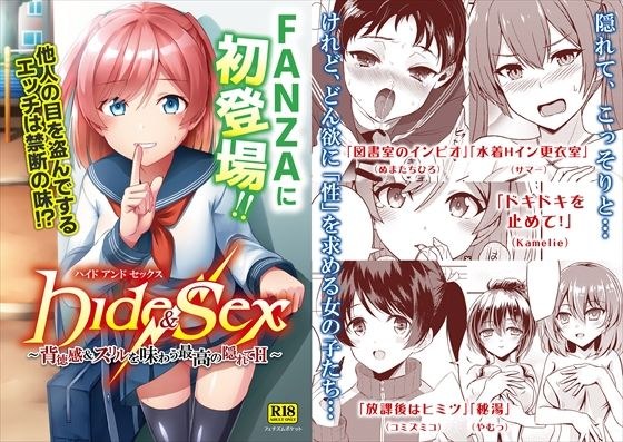 Hide & Sex 〜背徳感&スリルを味わう最高の隠れてH〜 メイン画像
