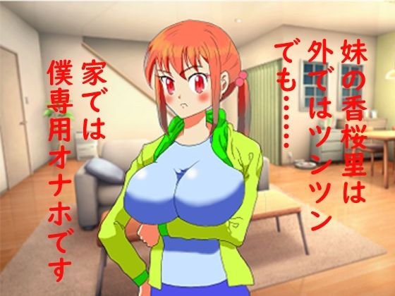 妹は僕専用オナホ メイン画像