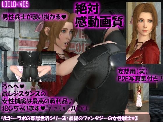 【△100】リビドーラボの妄想世界シリーズ:最後のファンタジーの女性戦士#3 メイン画像