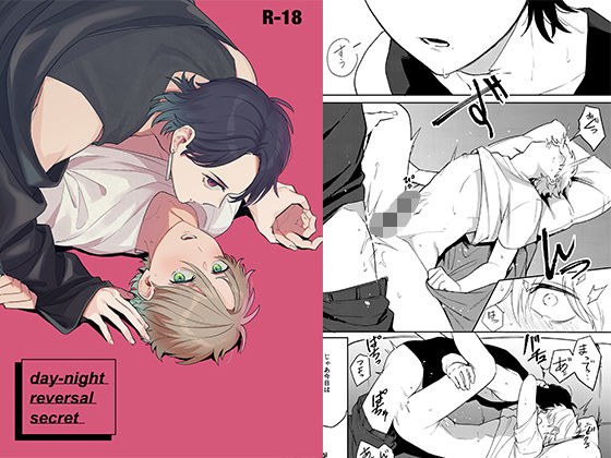 day-night reversal secret メイン画像