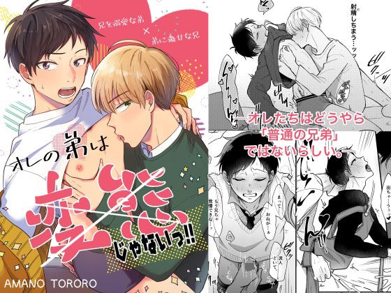 オレの弟は変態じゃないっ！！ メイン画像