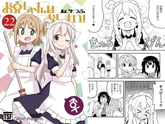 お兄ちゃんはおしまい！22 メイン画像