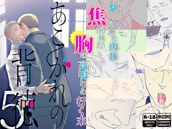 あこがれの背徳5 メイン画像