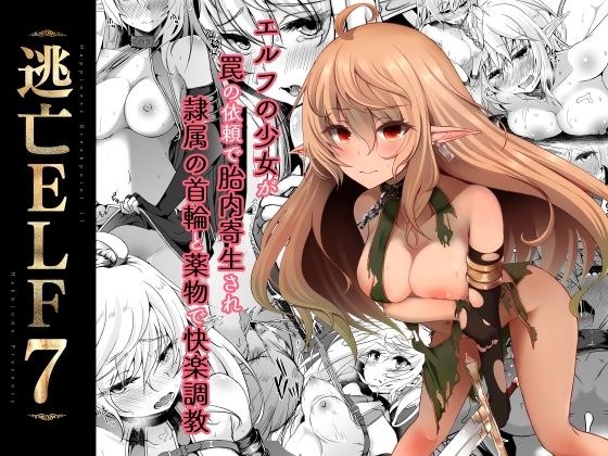 逃亡ELF7 メイン画像