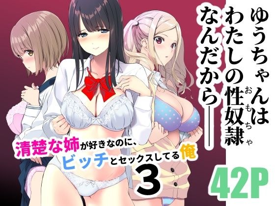 清楚な姉が好きなのに、ビッチとセックスしてる俺3 メイン画像