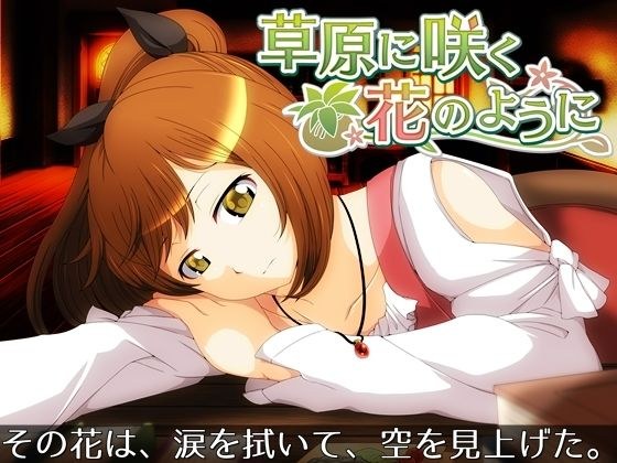 草原に咲く花のように メイン画像