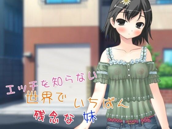 The most disappointing sister in the world who doesn't know sex [sold as apk file only] メイン画像