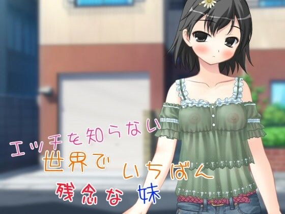 エッチを知らない世界でいちばん残念な妹【apkファイル単体の販売です】 メイン画像