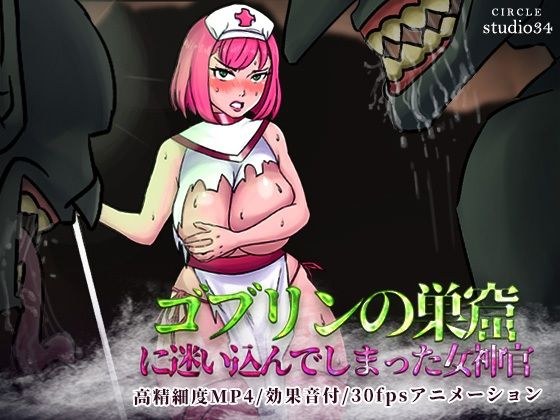 Priestess who got lost in a goblin's den メイン画像